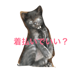 [LINEスタンプ] ちば すたんぷ