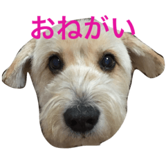 [LINEスタンプ] トックスタンプ2