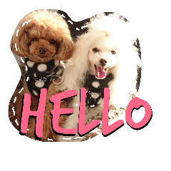 [LINEスタンプ] My dogs.2