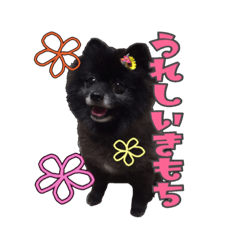 [LINEスタンプ] おばあちゃん大好きなチロルくん