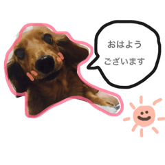 [LINEスタンプ] chyapy