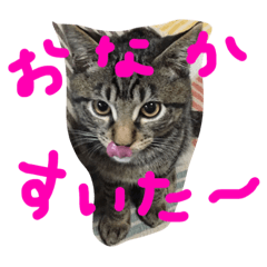 [LINEスタンプ] ソルとメイ 2