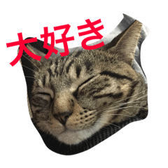 [LINEスタンプ] ソルとメイ