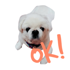[LINEスタンプ] yuupeki