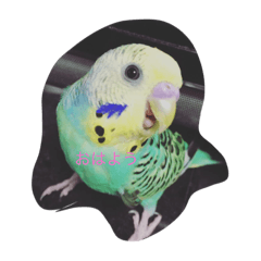 [LINEスタンプ] マロンとペロ