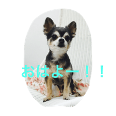 [LINEスタンプ] kotajirou stamp