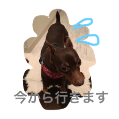 [LINEスタンプ] ココフォト4