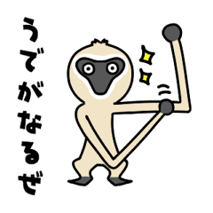 [LINEスタンプ] シロテナガザルの慣用句スタンプ