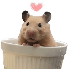[LINEスタンプ] Long face Pika daily.