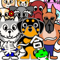 [LINEスタンプ] JINSTAメンバーが動く 1