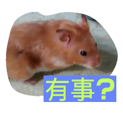 [LINEスタンプ] Our pet