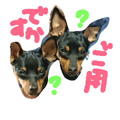 [LINEスタンプ] haruki.reku