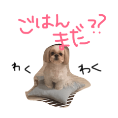 [LINEスタンプ] かめきち。