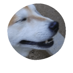[LINEスタンプ] 癒しのりくともも