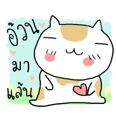 [LINEスタンプ] Chubby Cat MaoMao V2の画像（メイン）