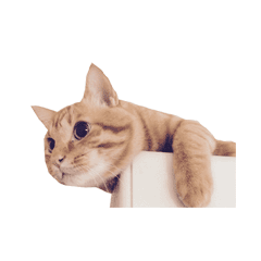 [LINEスタンプ] coco2017