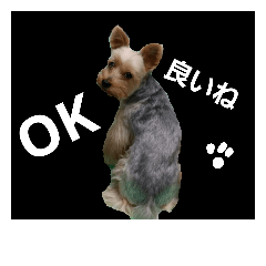 [LINEスタンプ] ヨーキー★ハッチの日常 ツー