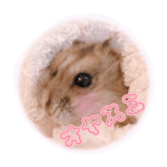 [LINEスタンプ] まんまるハムハム
