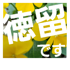 [LINEスタンプ] 徳留