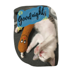 [LINEスタンプ] ImbbCAT