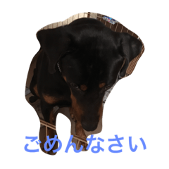 [LINEスタンプ] ペスタンプ2