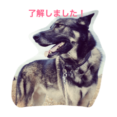 [LINEスタンプ] RikuOdin