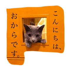 [LINEスタンプ] おからさんです（ねこ）。