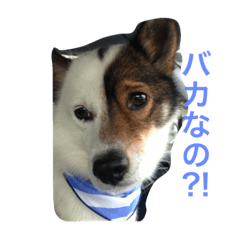 [LINEスタンプ] 海人の日常