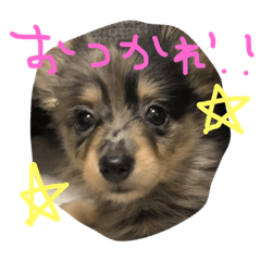 [LINEスタンプ] もなと仲間たち