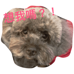 [LINEスタンプ] Nana, baby