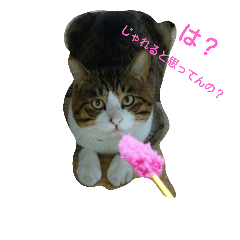 [LINEスタンプ] ナツ男