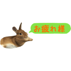 [LINEスタンプ] キャロちゃん 1