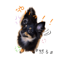 [LINEスタンプ] モカたんプ
