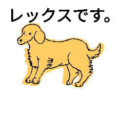 [LINEスタンプ] ゴールデンレトリバーのレックス