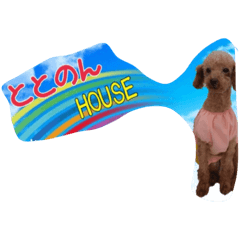 [LINEスタンプ] totonondog