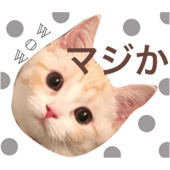 [LINEスタンプ] リルスタンプ その2