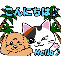 [LINEスタンプ] 動く♪なごむ♪くーにゃんの湘南Days