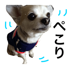 [LINEスタンプ] えるえるふ