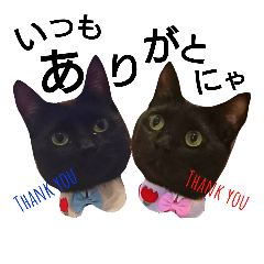 [LINEスタンプ] 黒猫兄弟 そらりく 3