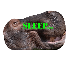 [LINEスタンプ] Coco the hippo.