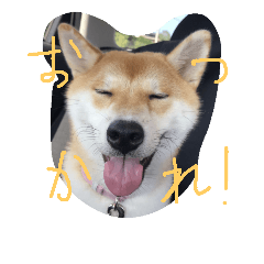 [LINEスタンプ] kikuchandesse