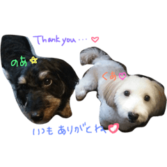 [LINEスタンプ] マルックスのくあとのあ