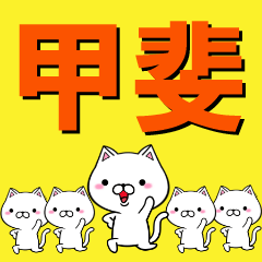 [LINEスタンプ] 超★甲斐(かい・かひ・こうひ)なネコ