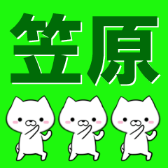 [LINEスタンプ] 超★笠原(かさはら・かさわら・かつはら)