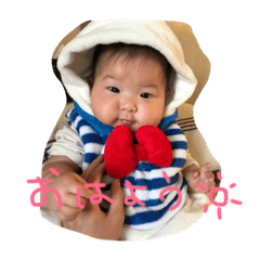 [LINEスタンプ] こゆ、こゆ、こゆ