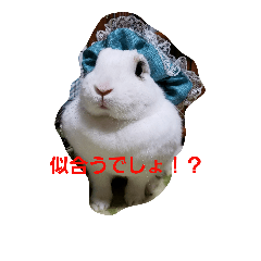 [LINEスタンプ] fuku of rabbit2