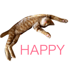 [LINEスタンプ] ラフスペースの猫達のスタンプ24