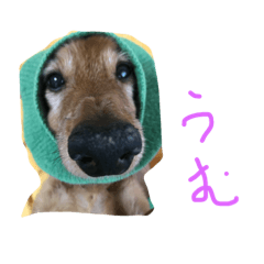 [LINEスタンプ] ちゃ3