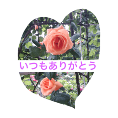 [LINEスタンプ] 花から吹く風