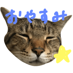 [LINEスタンプ] ゆず＆あんず
